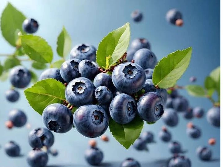 Blueberries used in a simple at-home vision wellness routine