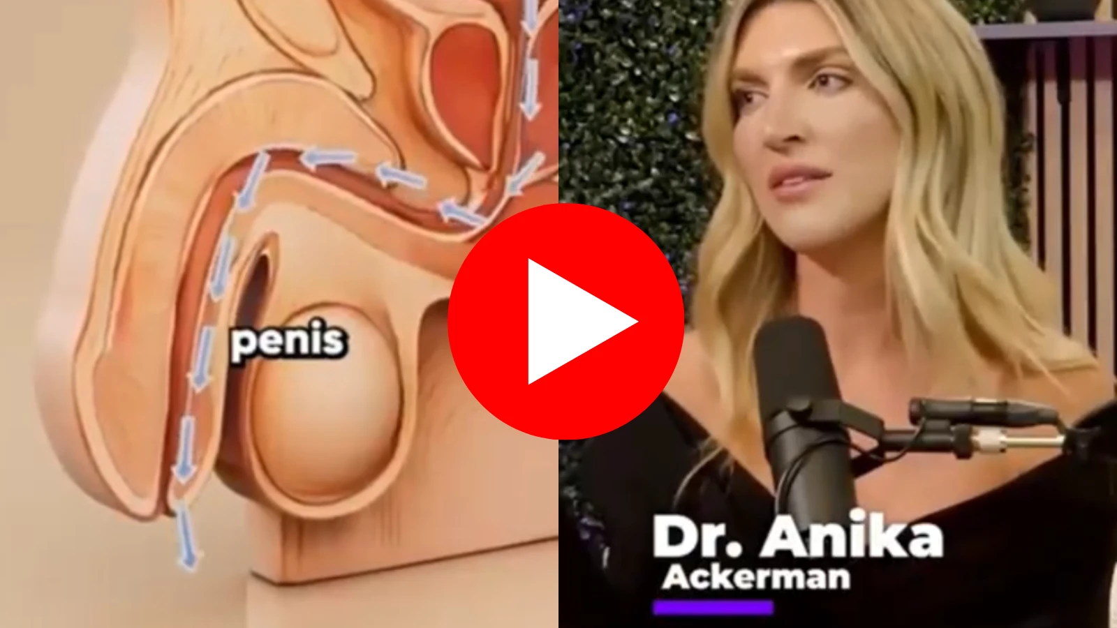 Navy exposing a banned erection protocol on air